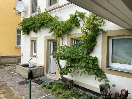 Mit Elbblick Pirna